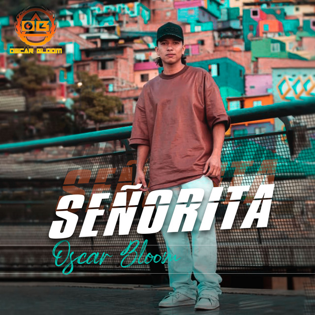 Señorita cover