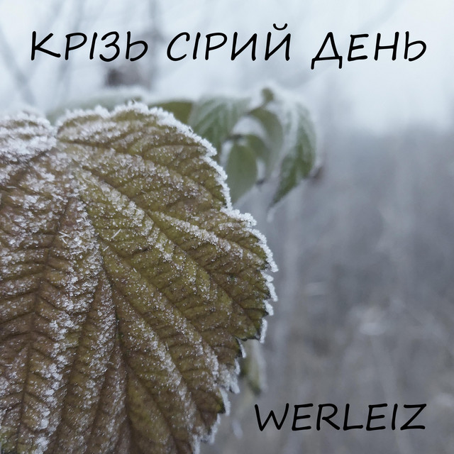 Обкладинка: Крізь сірий день — Werleiz