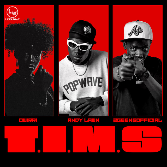T.I.M.S