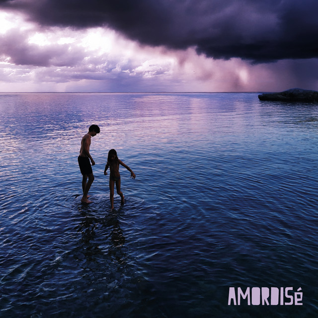 AMORDISé cover art