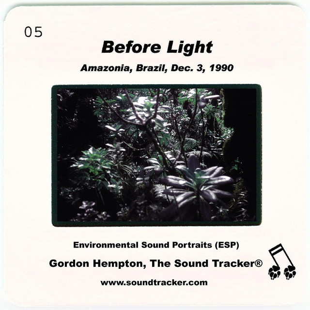 Before Light cover