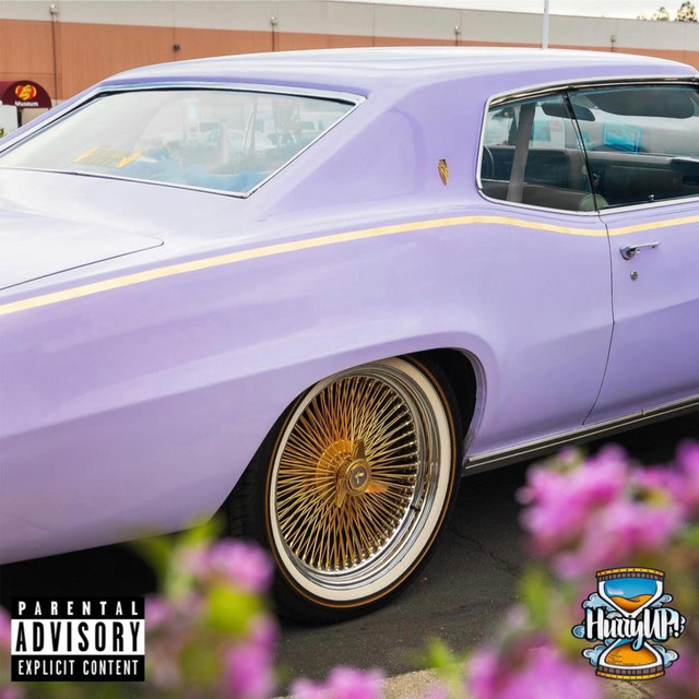 Player Since Birf cover art
