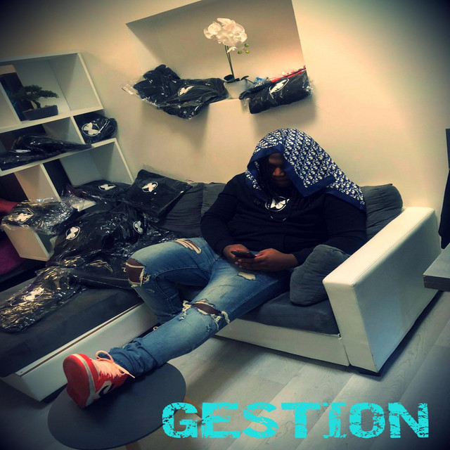 Gestion cover art