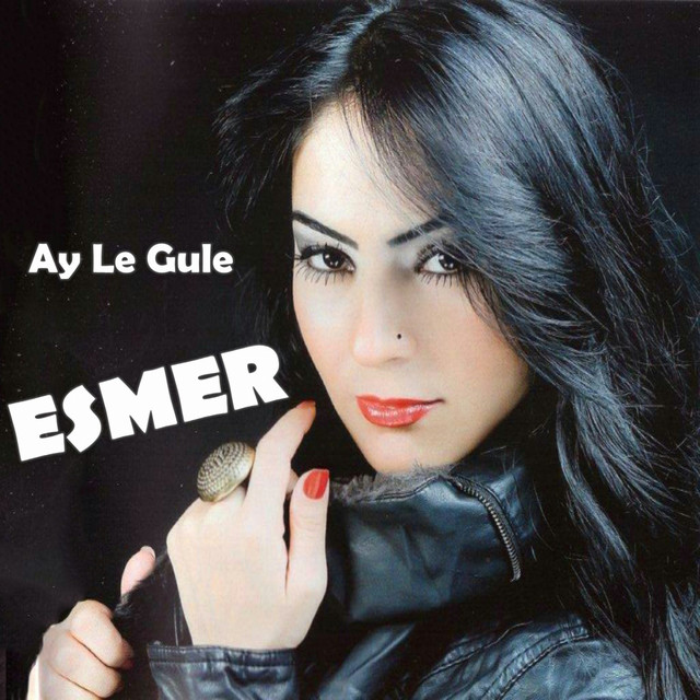 Ay Le Gule cover art