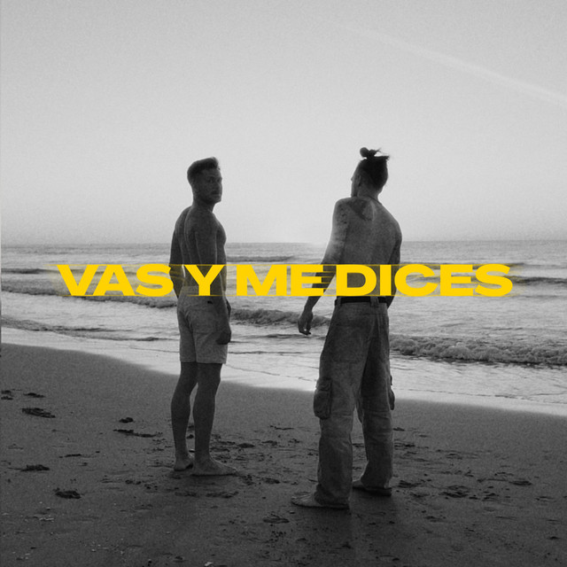VAS Y ME DICES