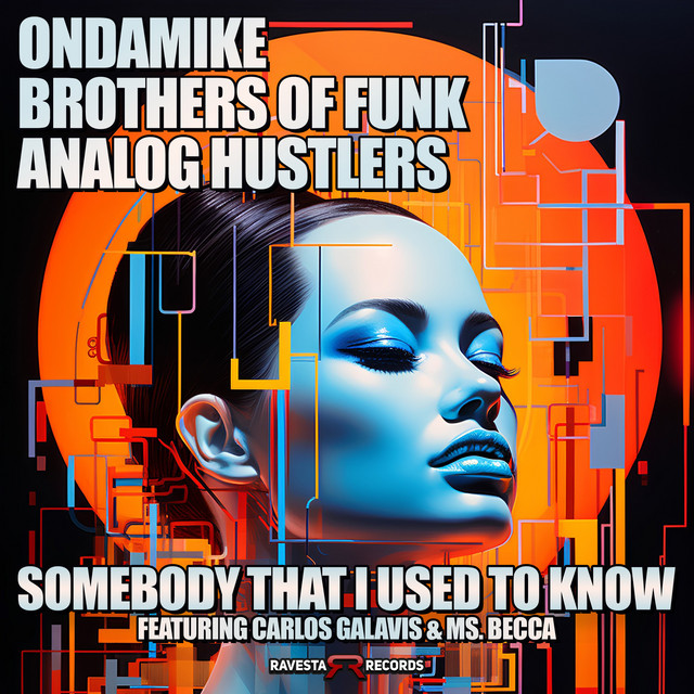 Somebody That I Used To Know - Original Cover Mix album art