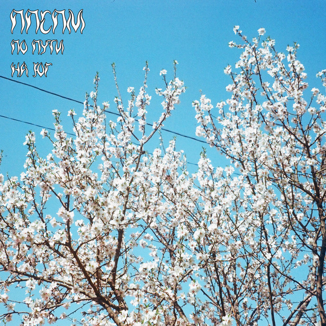 Cover art for правила поведения с пьяным мужем — По пути на юг