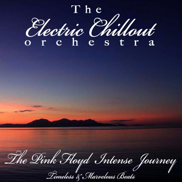 The Pink Floyd Intense Journey cover art