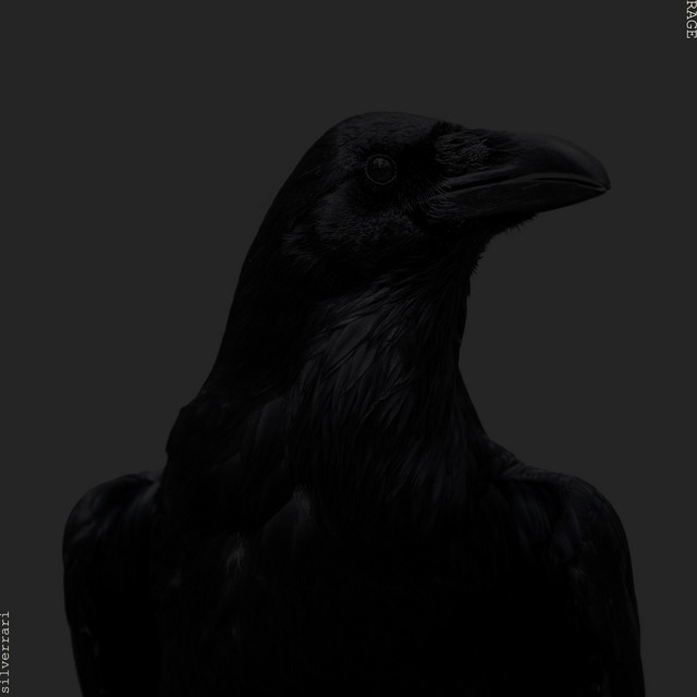 RAGE cover art
