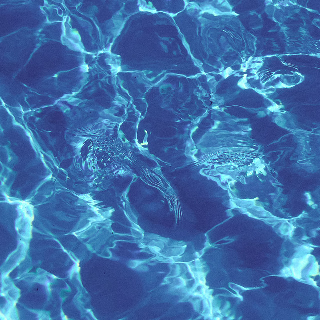 1 Ambient: Harmonic Tides cover art