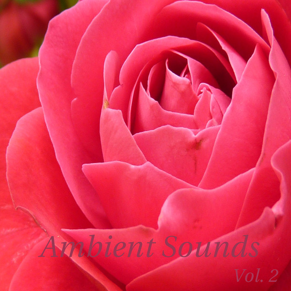 Ambient Sounds, Vol. 2 cover art