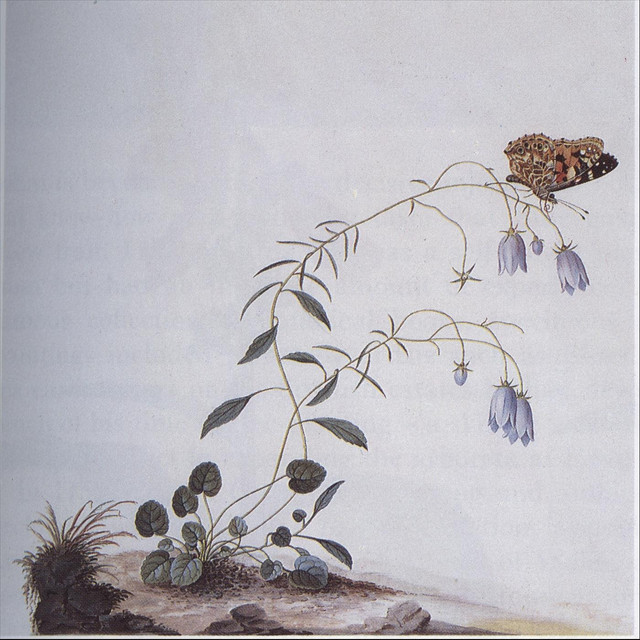I: The Suicide Tree / II: A Rose from the Dead cover art