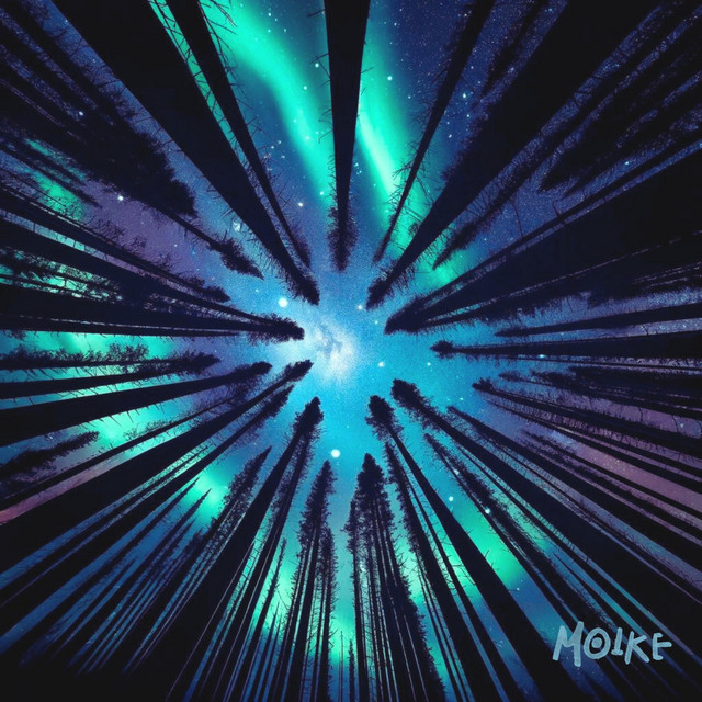 Fly cover art