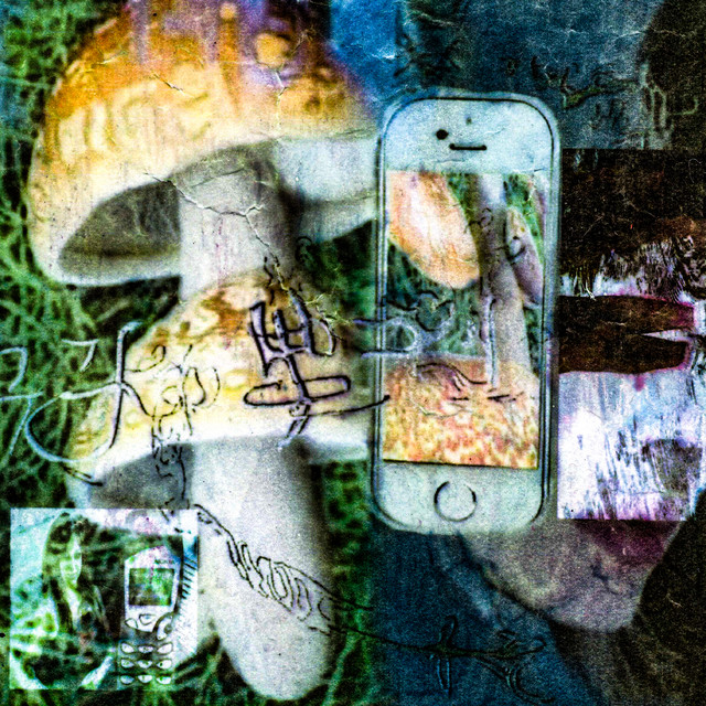 пара модных кроссовок cover art