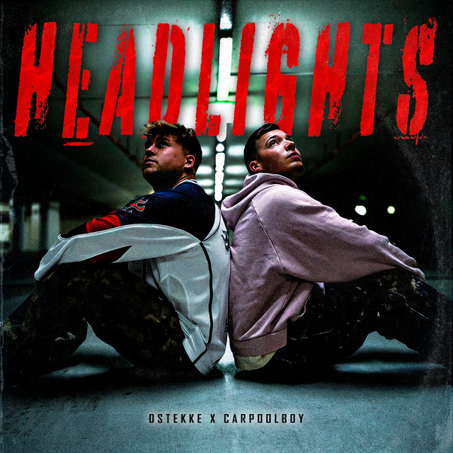 Headlights cover