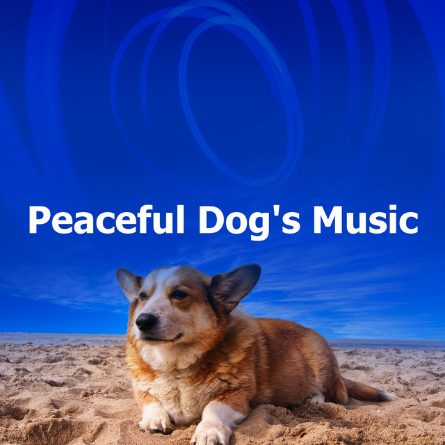 Peaceful Dog's Music - Album by Music For Dogs Peace | Spotify