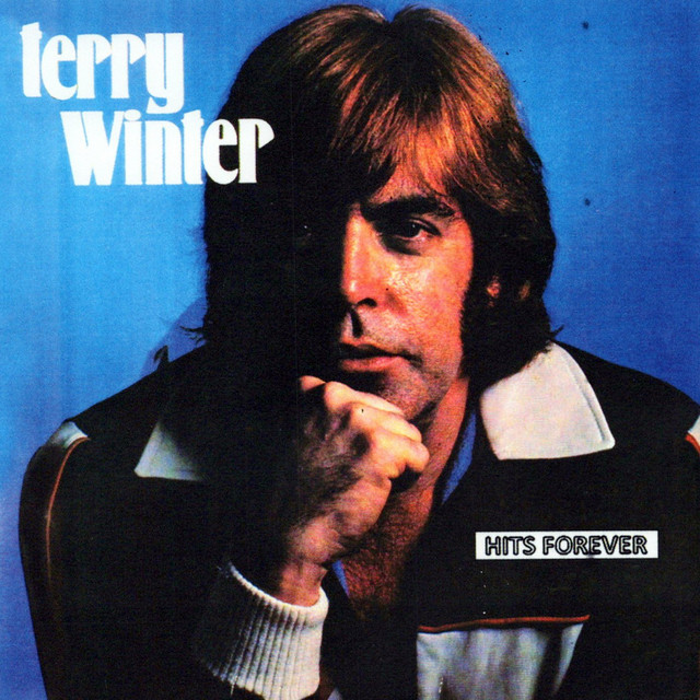 Hits Forever cover art