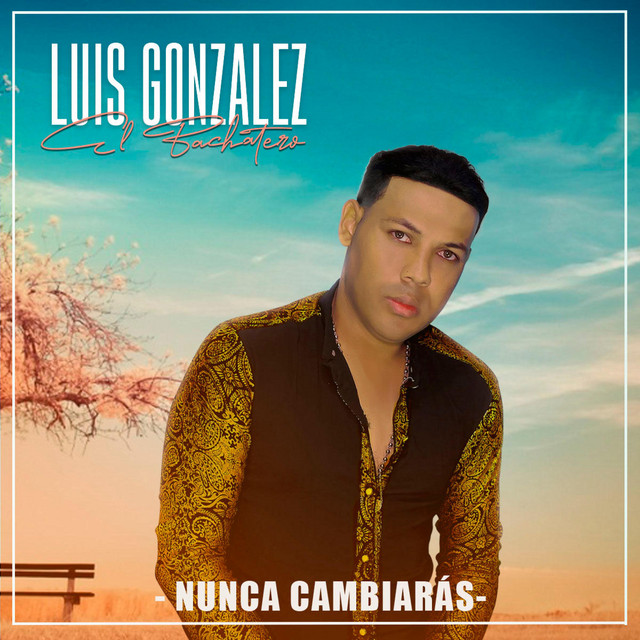 Nunca Cambiaras cover
