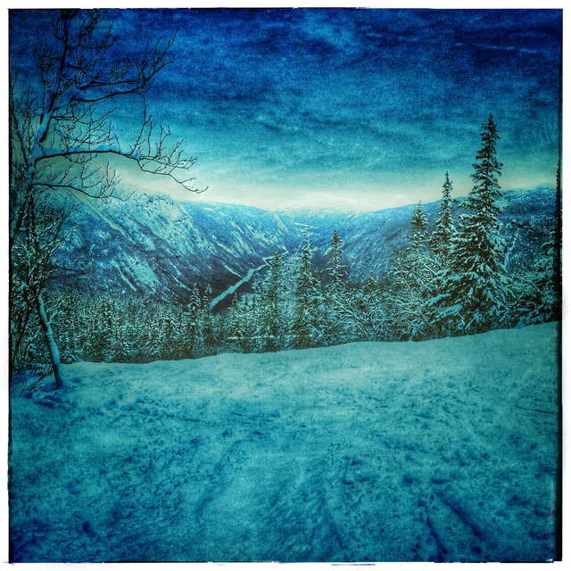Avalanche cover