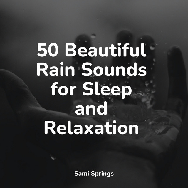 50 Beautiful Rain Sounds for Sleep and Relaxation - Album by Pro Sound ...
