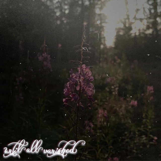 Your Flowers Won't Bloom Here cover art