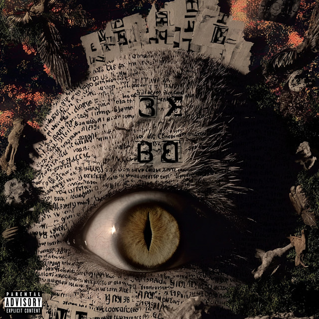 LAW 4 cover art