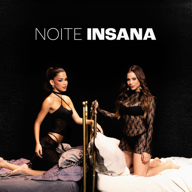 Noite Insana album image