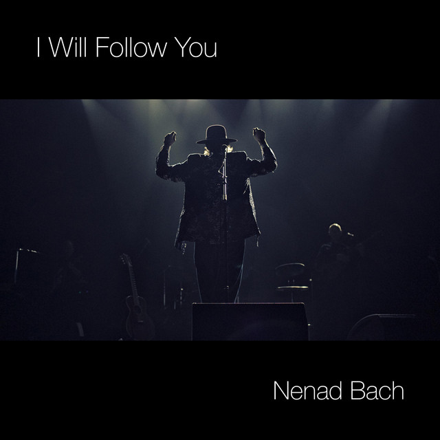 I Will Follow You cover