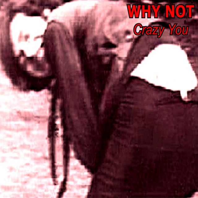 Crazy You cover art