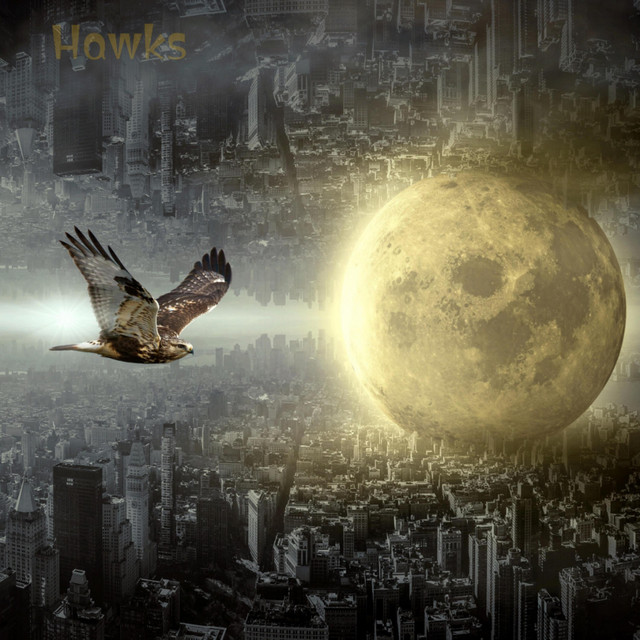 Hawks cover art
