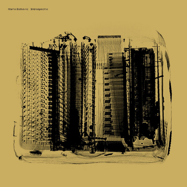 Introspectio cover