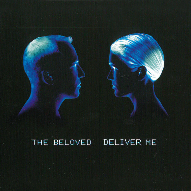 Deliver Me - Robodisco Dub cover art