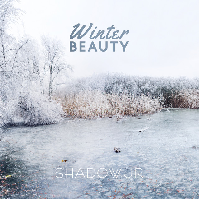 Winter Beauty cover art