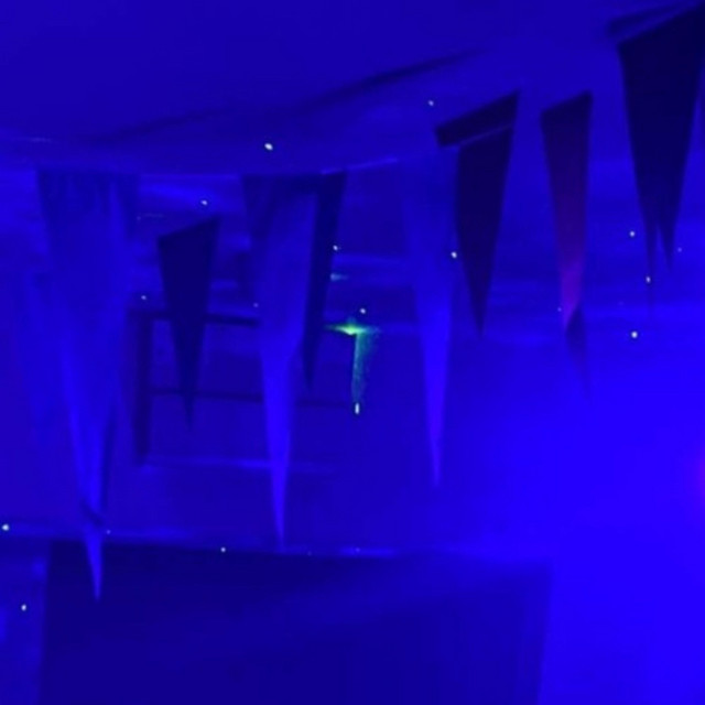 Party