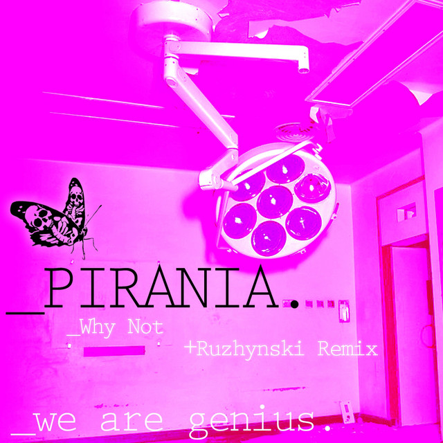 Обкладинка: Why Not? - Original Mix — Pirania