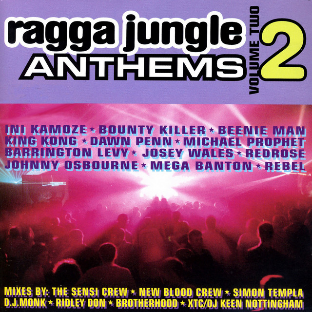 Ragga Jungle Anthems - Compilation by Various Artists | Spotify