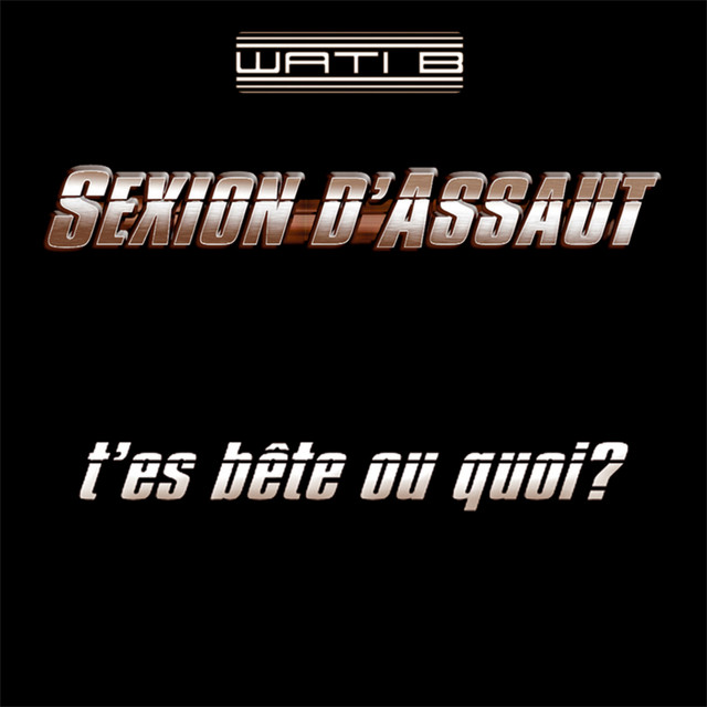 Sexion D Assaut T Es Bête Ou Quoi