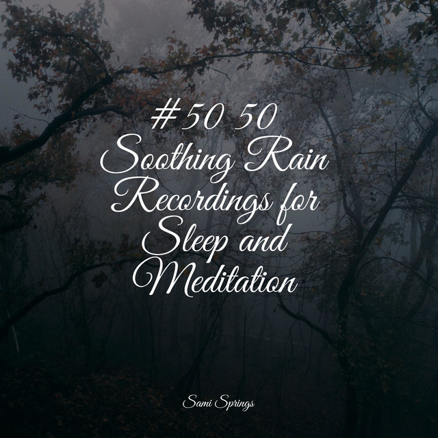 #50 50 Soothing Rain Recordings for Sleep and Meditation - Album by ...