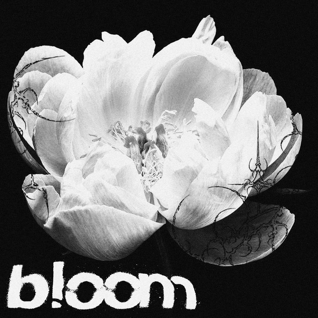bloom cover art