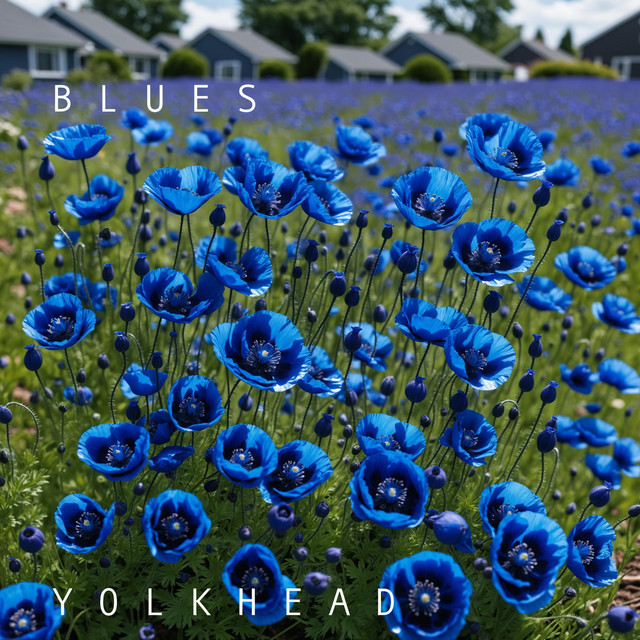 Blues cover art