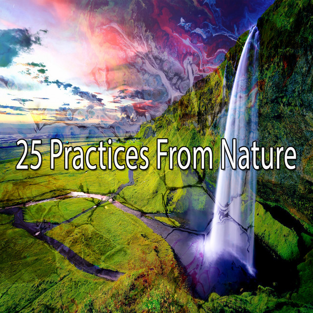 25 Practices From Nature - Album by Sounds of Nature Relaxation | Spotify
