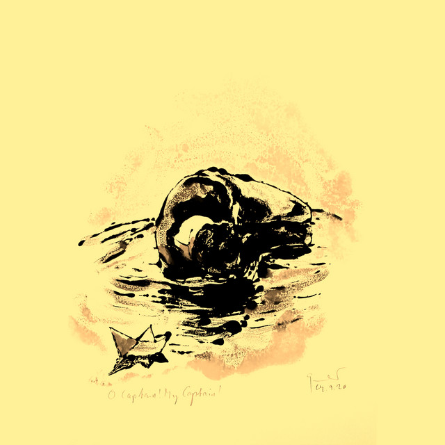 Landslide cover
