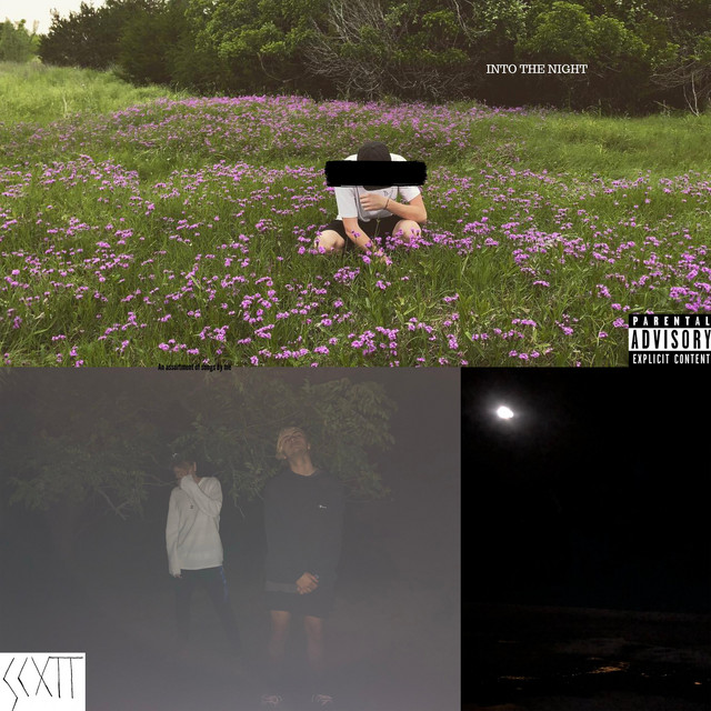Into the Night cover art