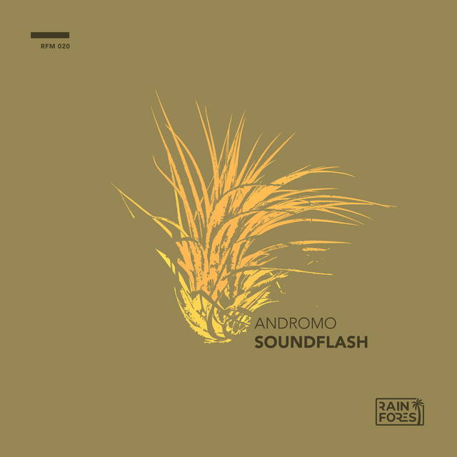 Soundflash cover