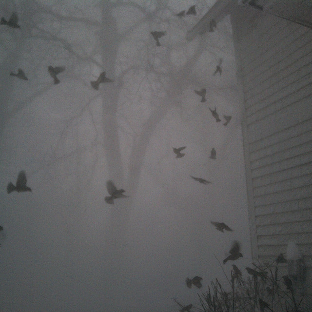 SNOWBOUND