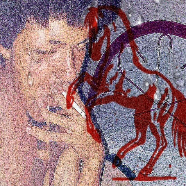 Taquiomorfria cover art