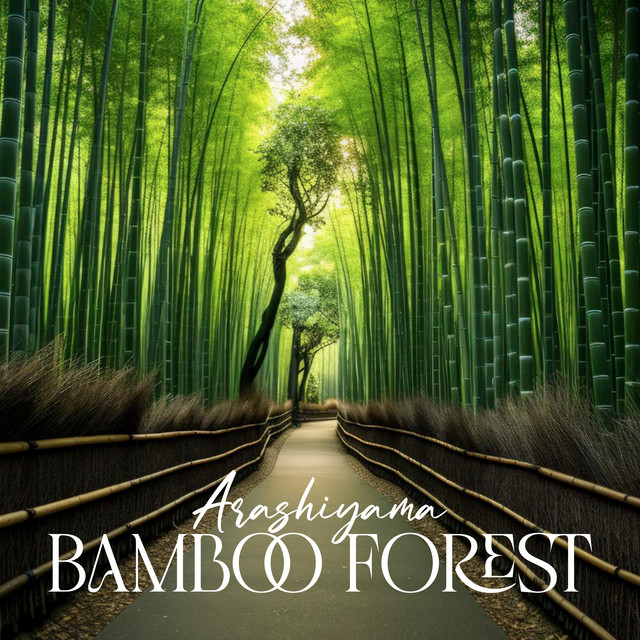 Arashiyama Bamboo Forest cover art