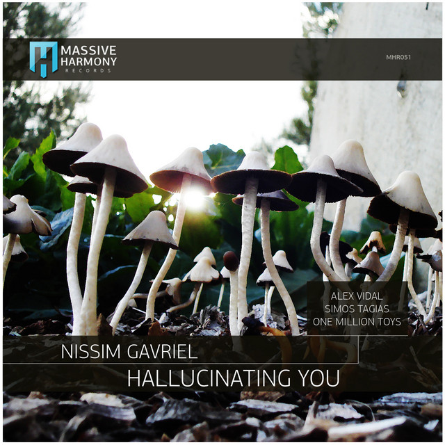 Hallucinating You cover art