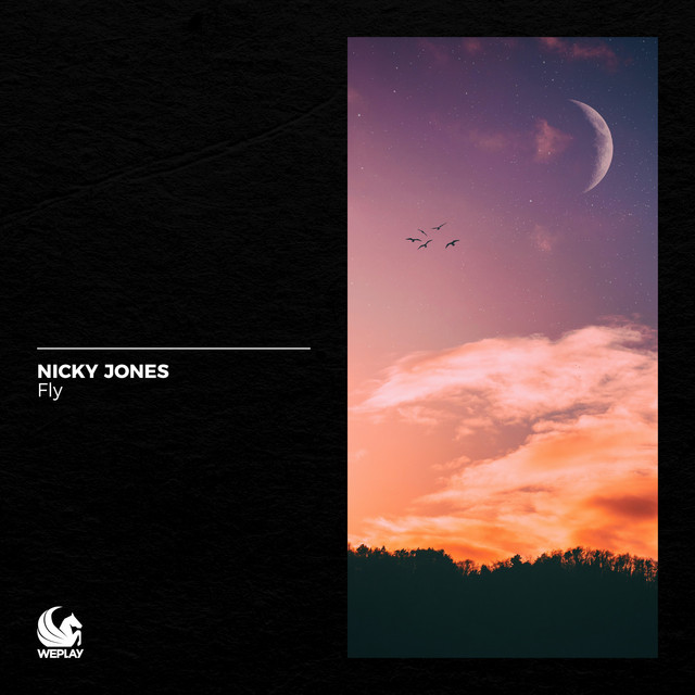 Fly cover art