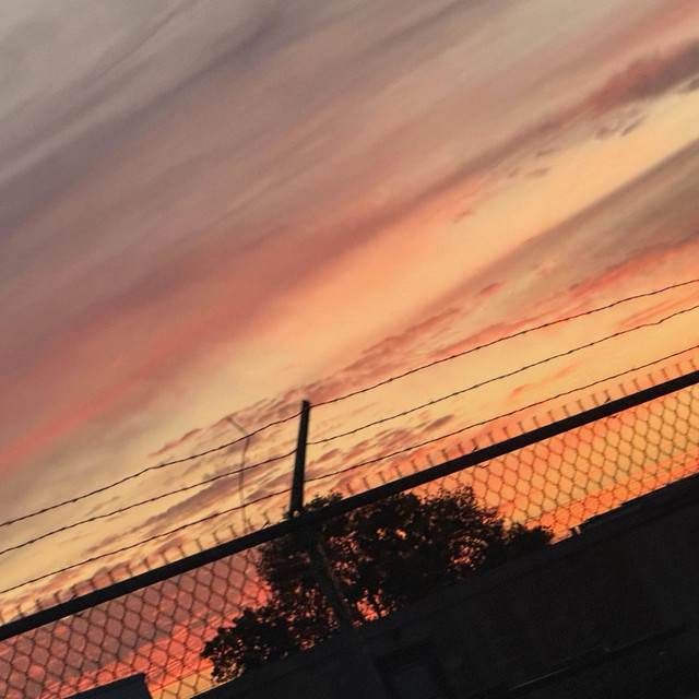 crushes cover art